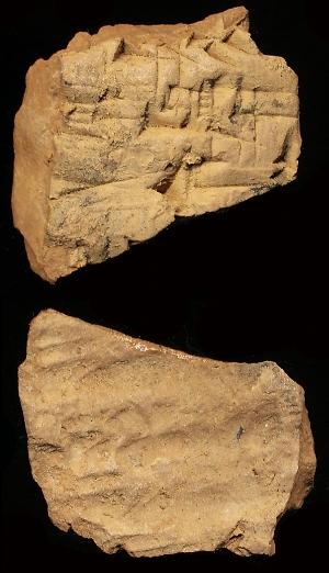 N1138