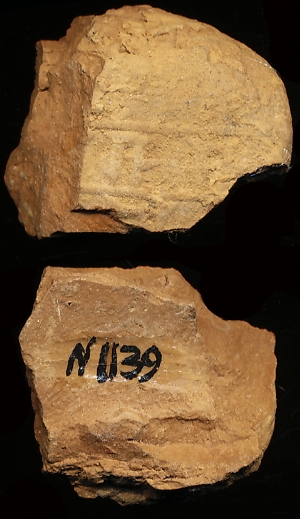 N1139