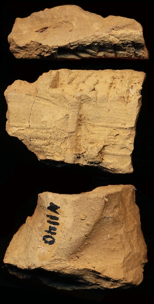 N1140