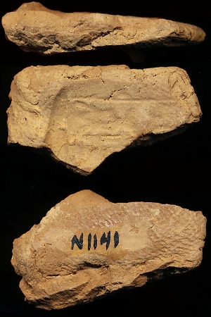 N1141