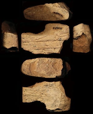 N1165B