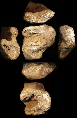 N1166