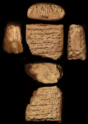 N1167