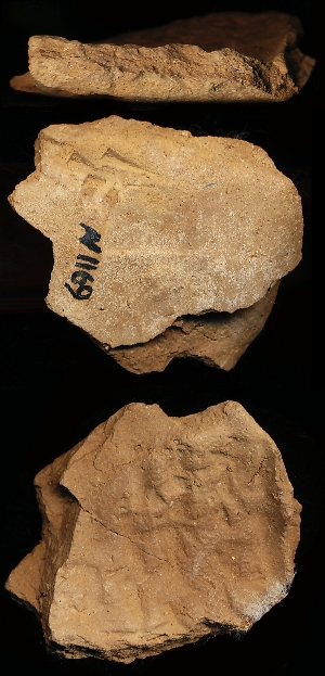 N1169