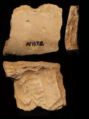 N1172