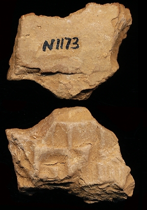 N1173