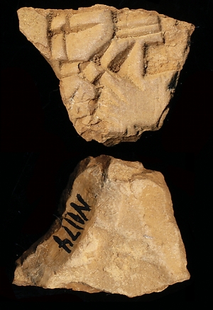 N1174