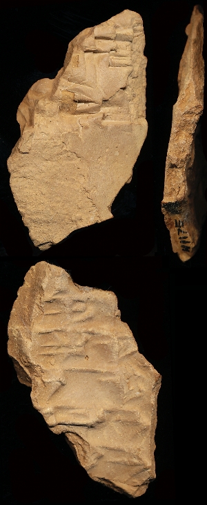 N1175