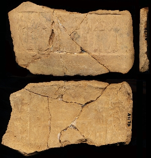 N1176