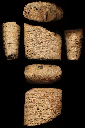 N1177
