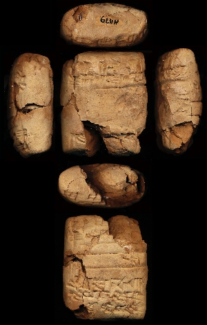N1179