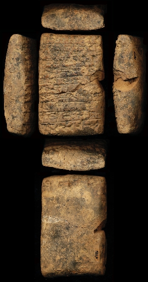 N1181