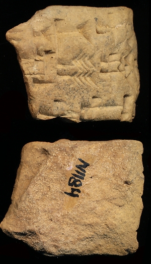 N1184