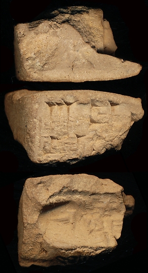 N1185