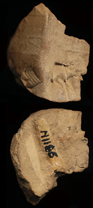 N1186