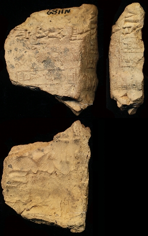 N1189