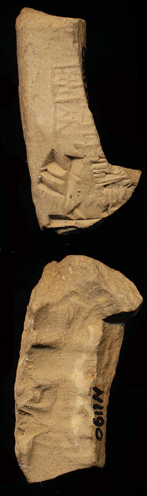 N1190