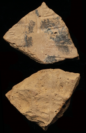 N1191