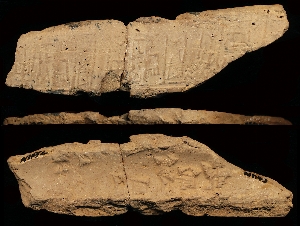 N1192