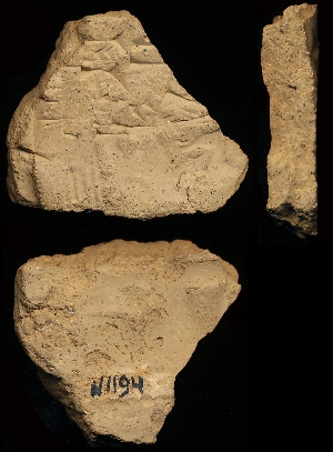 N1194
