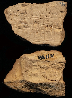 N1198