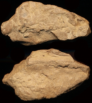 N1209