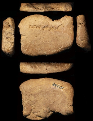 N1228