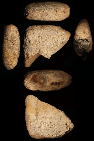 N1231