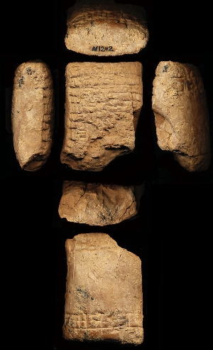 N1242