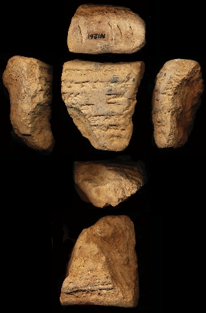 N1261