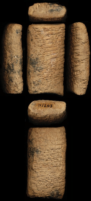 N1263