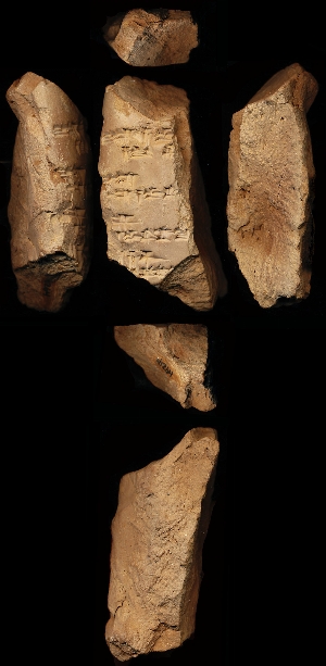 N1264