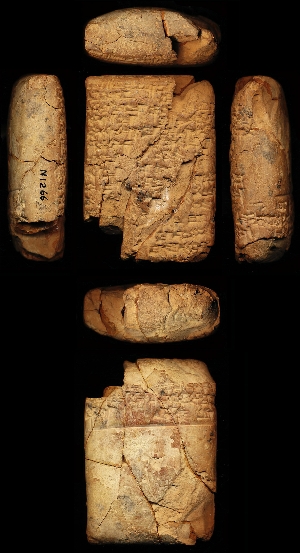 N1266