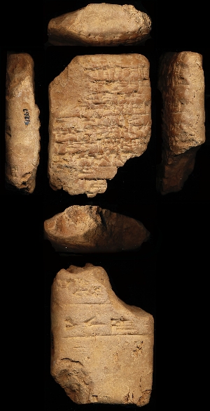 N1267