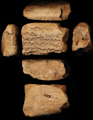 N1271