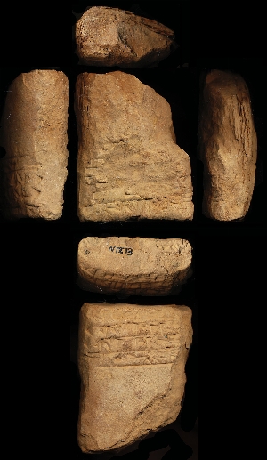 N1273