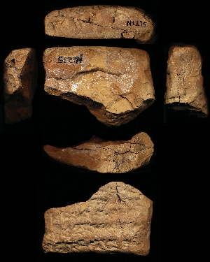 N1275