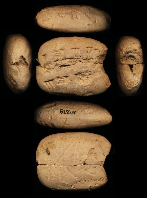 N1278