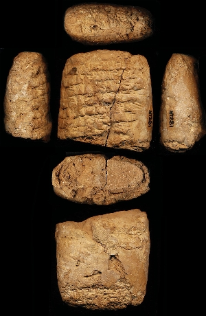N1281