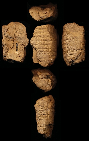 N1283