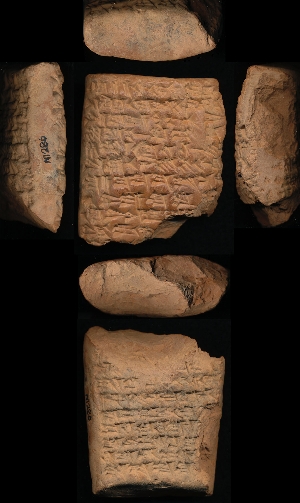 N1286