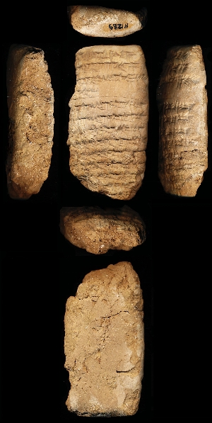 N1289