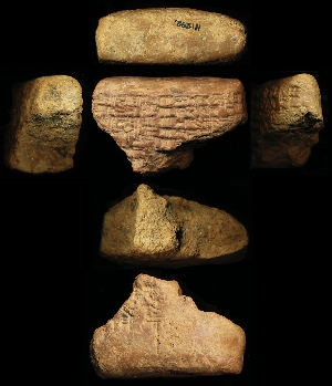 N1292