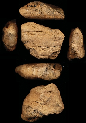 N1293