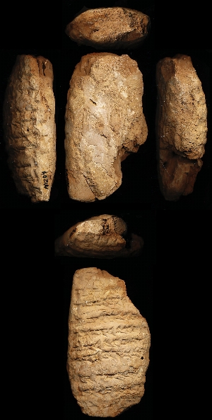 N1294