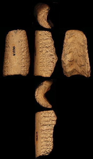 N1296