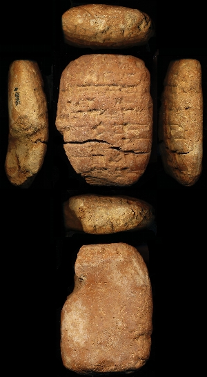 N1298
