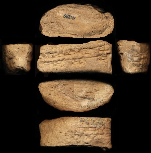 N1299