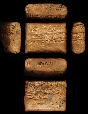 N1305