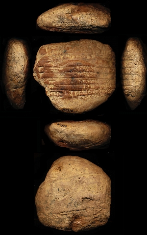 N1310